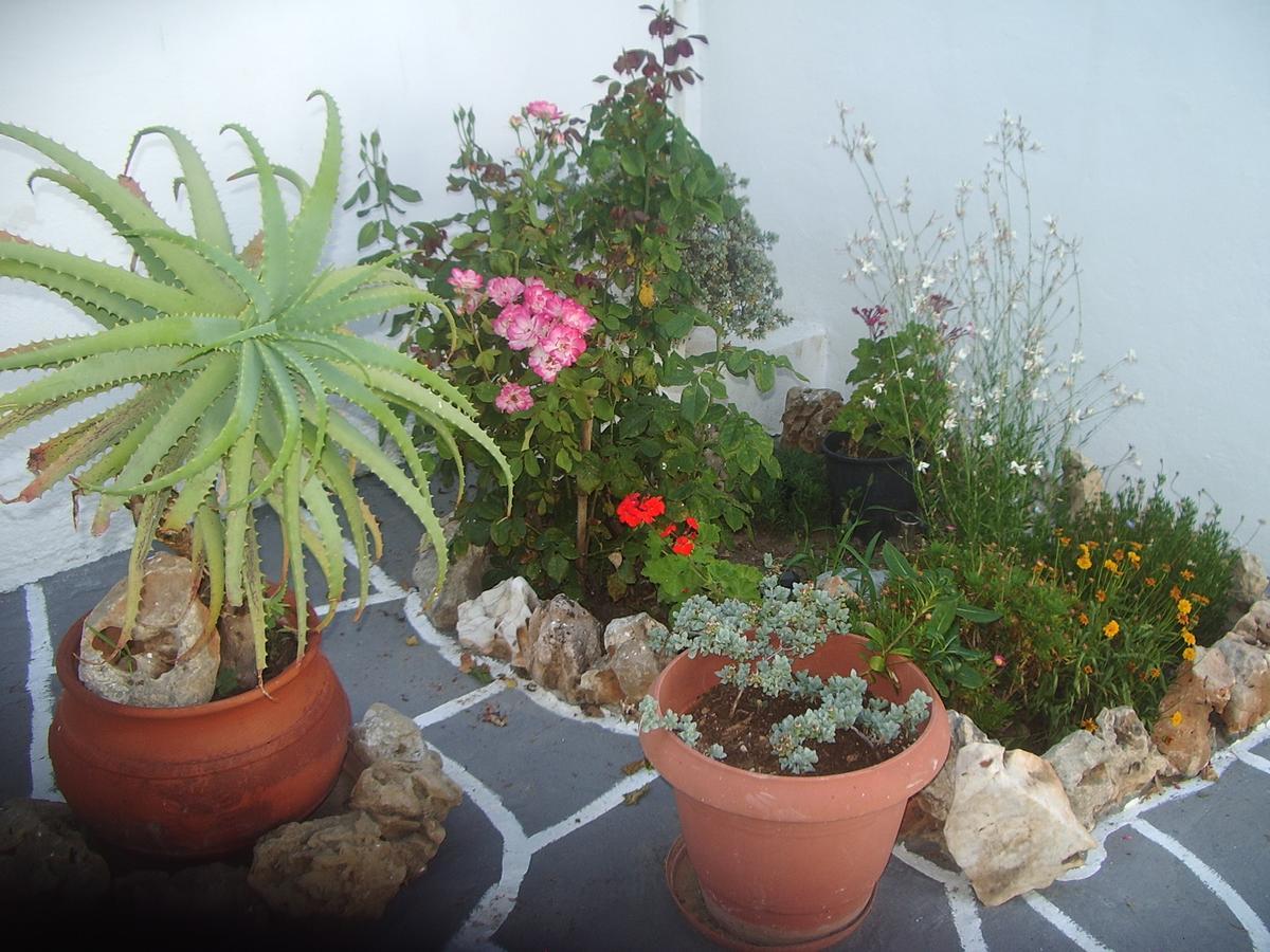 Guest house Koxilas Studios *