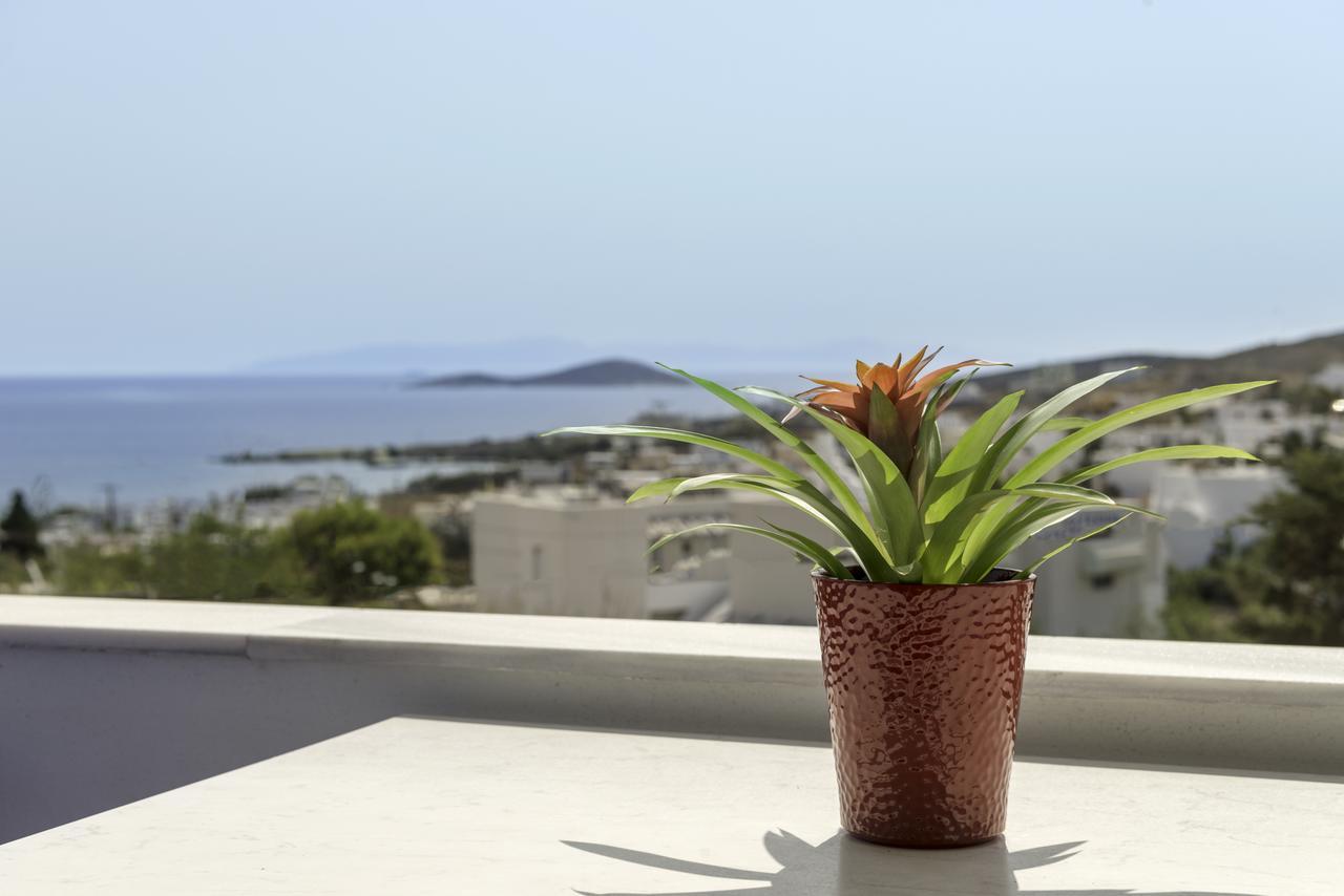 Apartment Anatoli Azolimnos