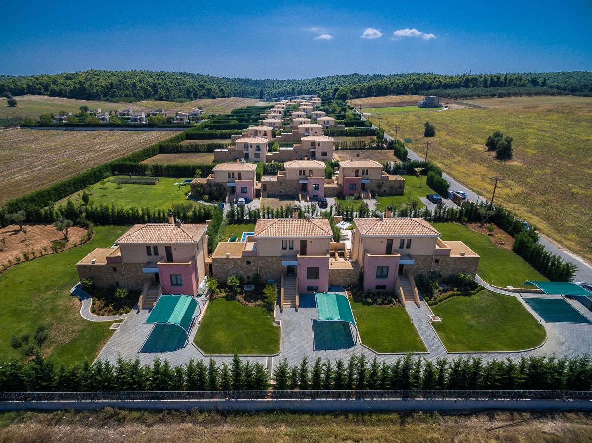 Villa Olive House