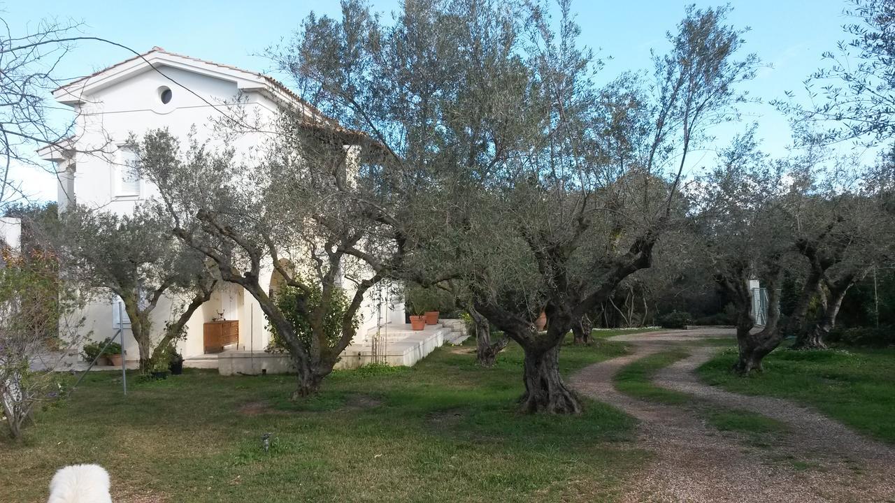 Villa Feia *