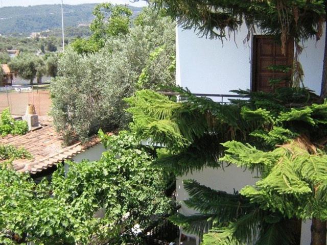 Manolas Aparthotel