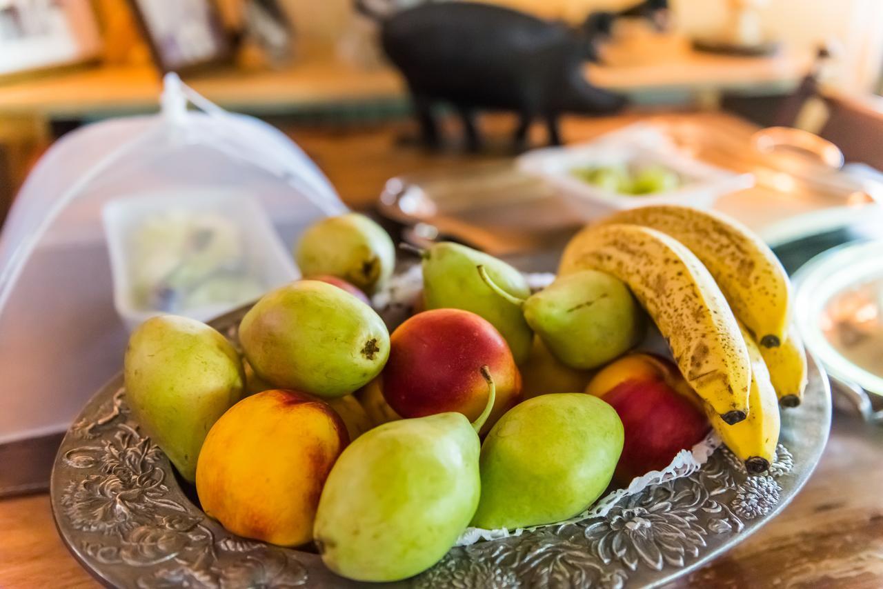 Anerada & - Pet Friendly Guest house Mega Chorio
