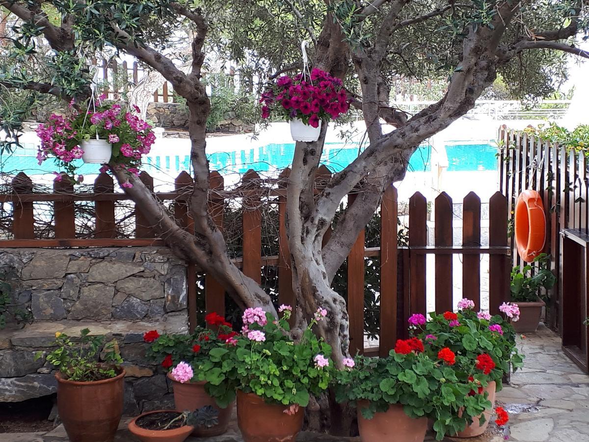 Apartment Ferma Solaris Agia Fotia (Ierapetra)