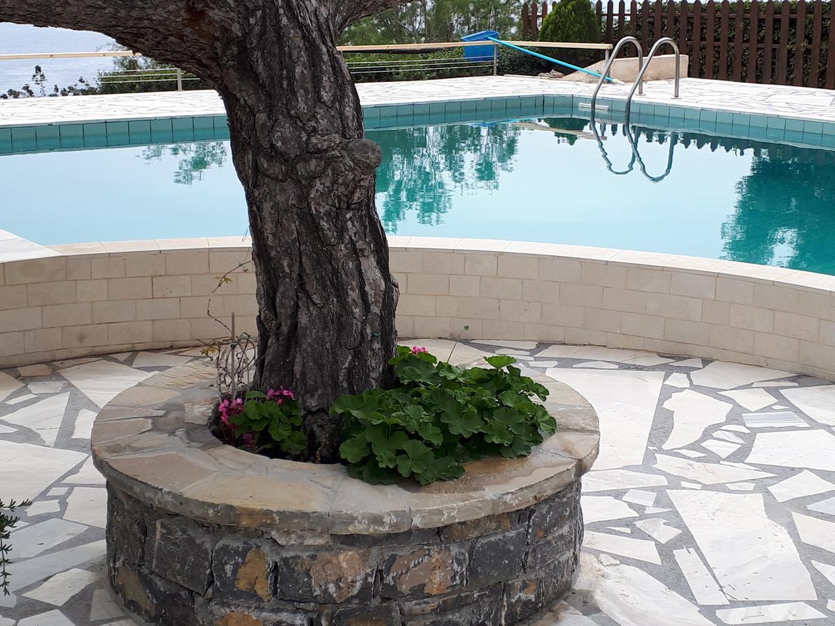 Apartment Ferma Solaris *