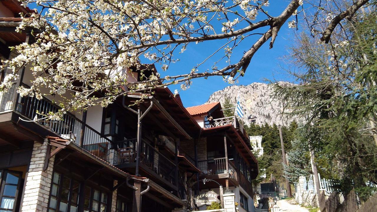 Guest house Xenonas Brizi