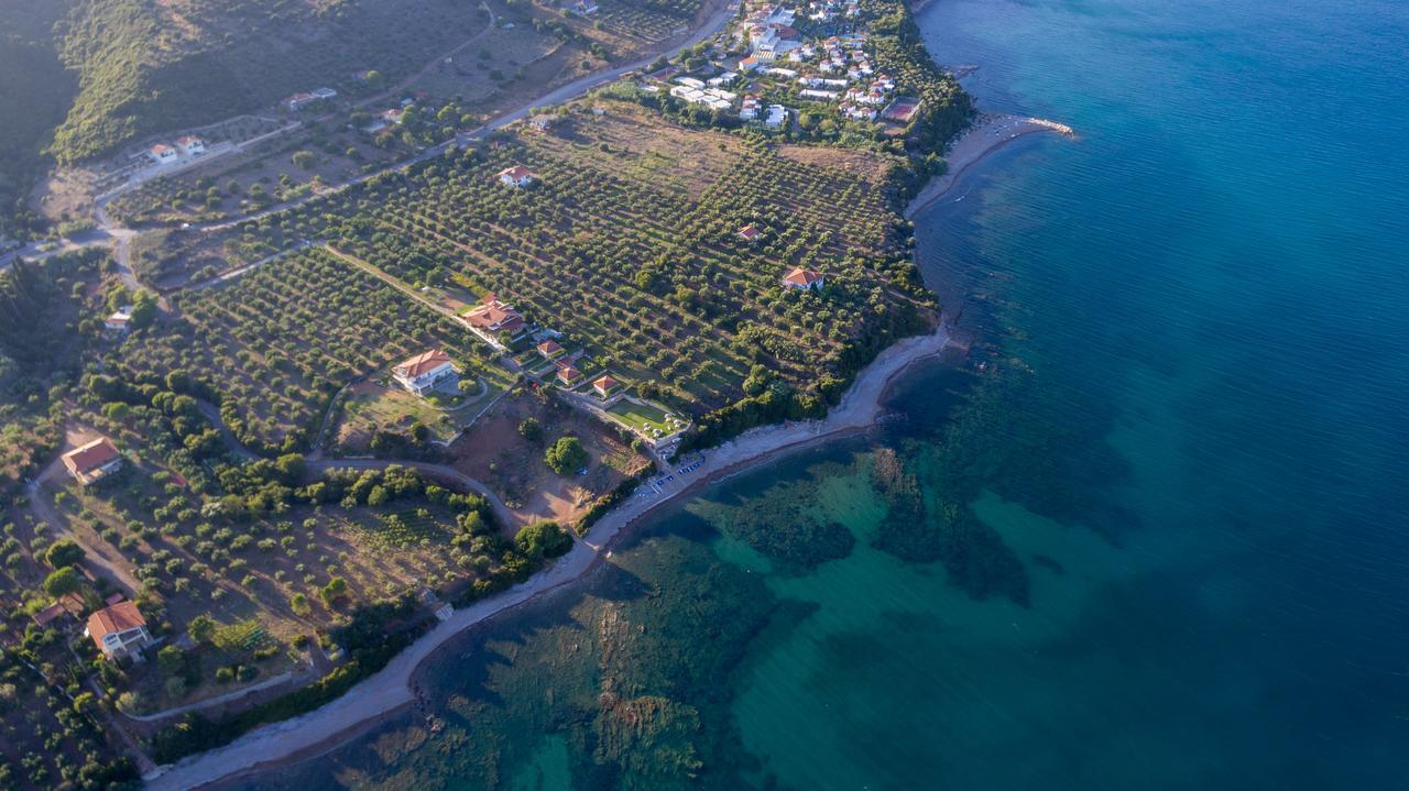 Alexandros Seaside Family & - Paradise, 7' From Petalidi Apartment