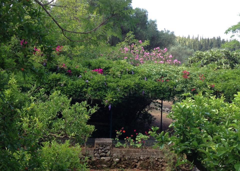 Gentilini Retreat