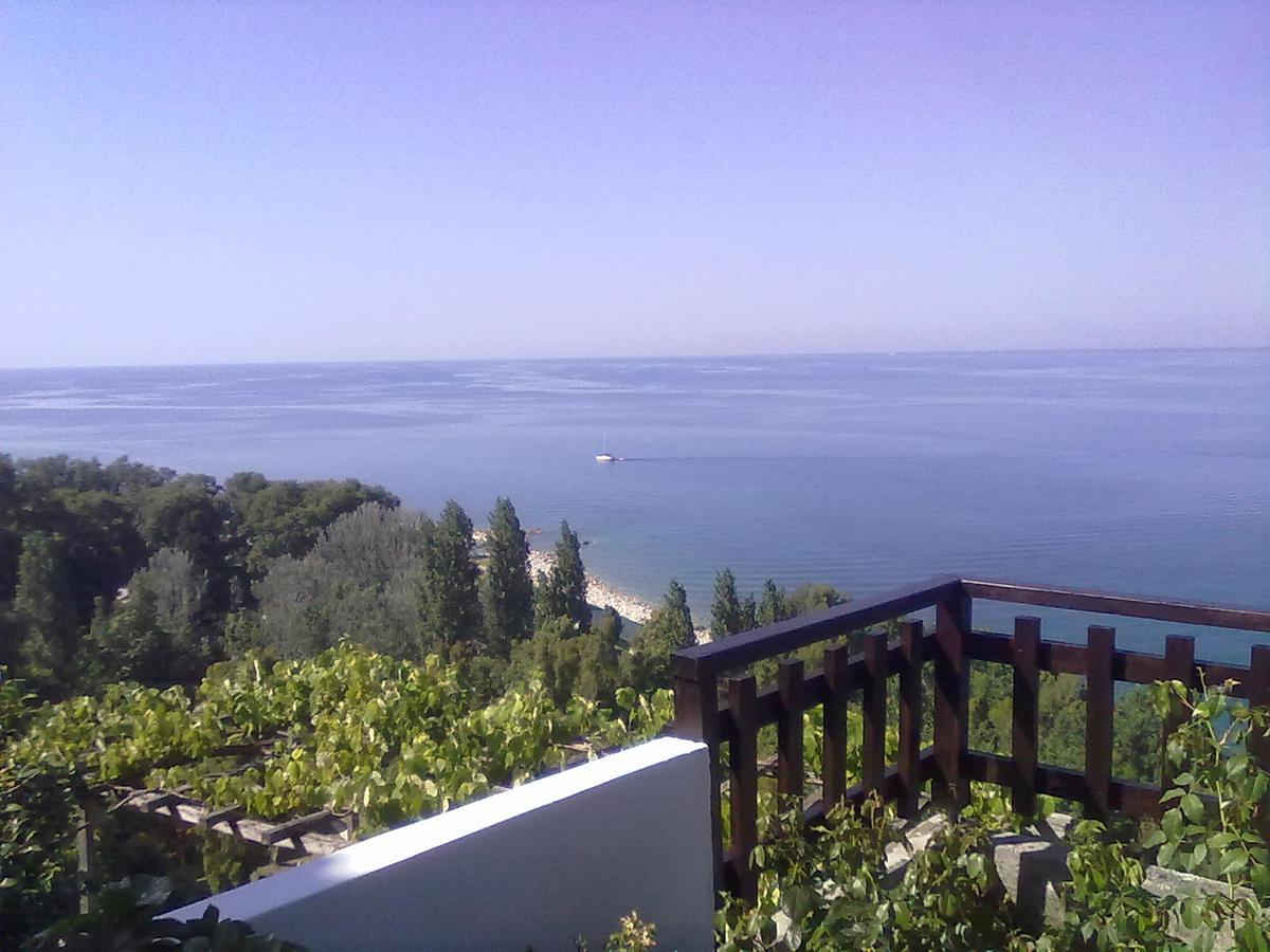 Apartment Pelion Orama Agios Ioannis (Thessaly)