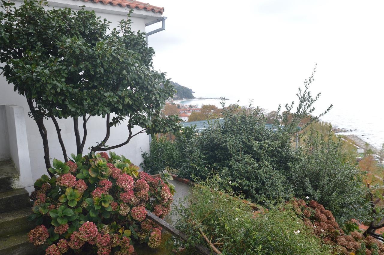 Pelion Orama Apartment