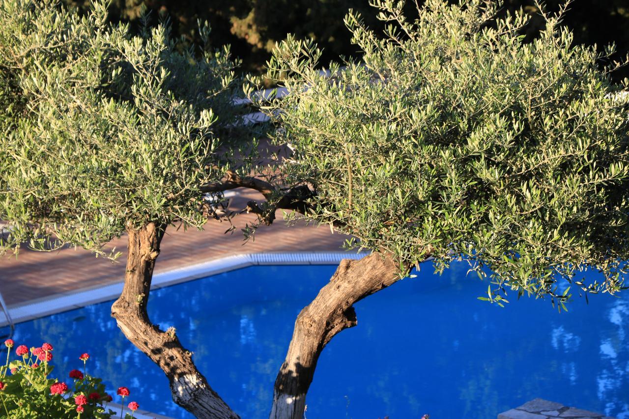 Myrto Homes Lefkada Greece Apartment *