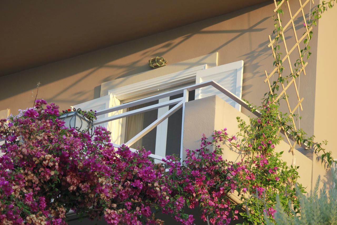 Myrto Homes Lefkada Greece Apartment