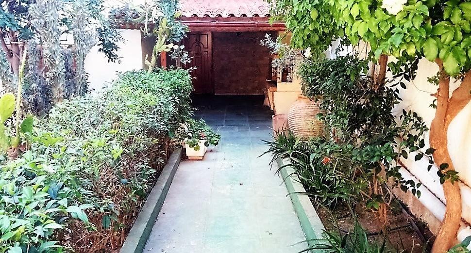 Garden Next To The Beach Tolo