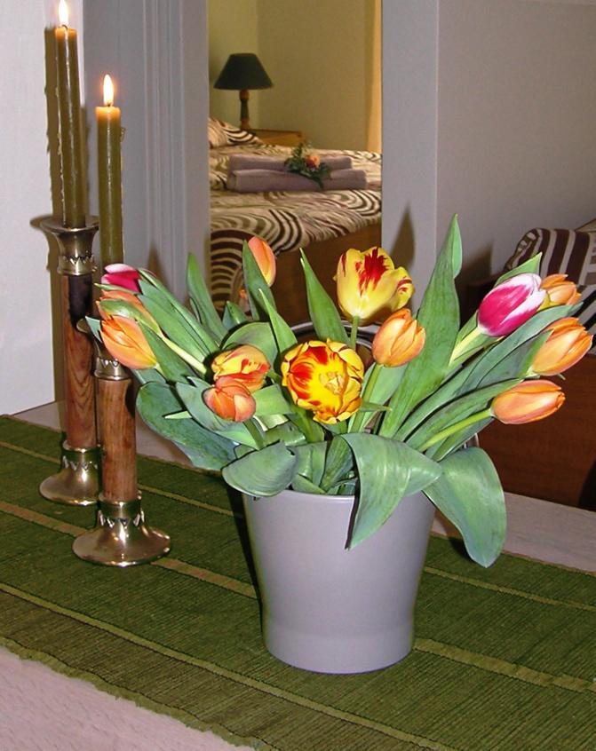 Irini Aparthotel *