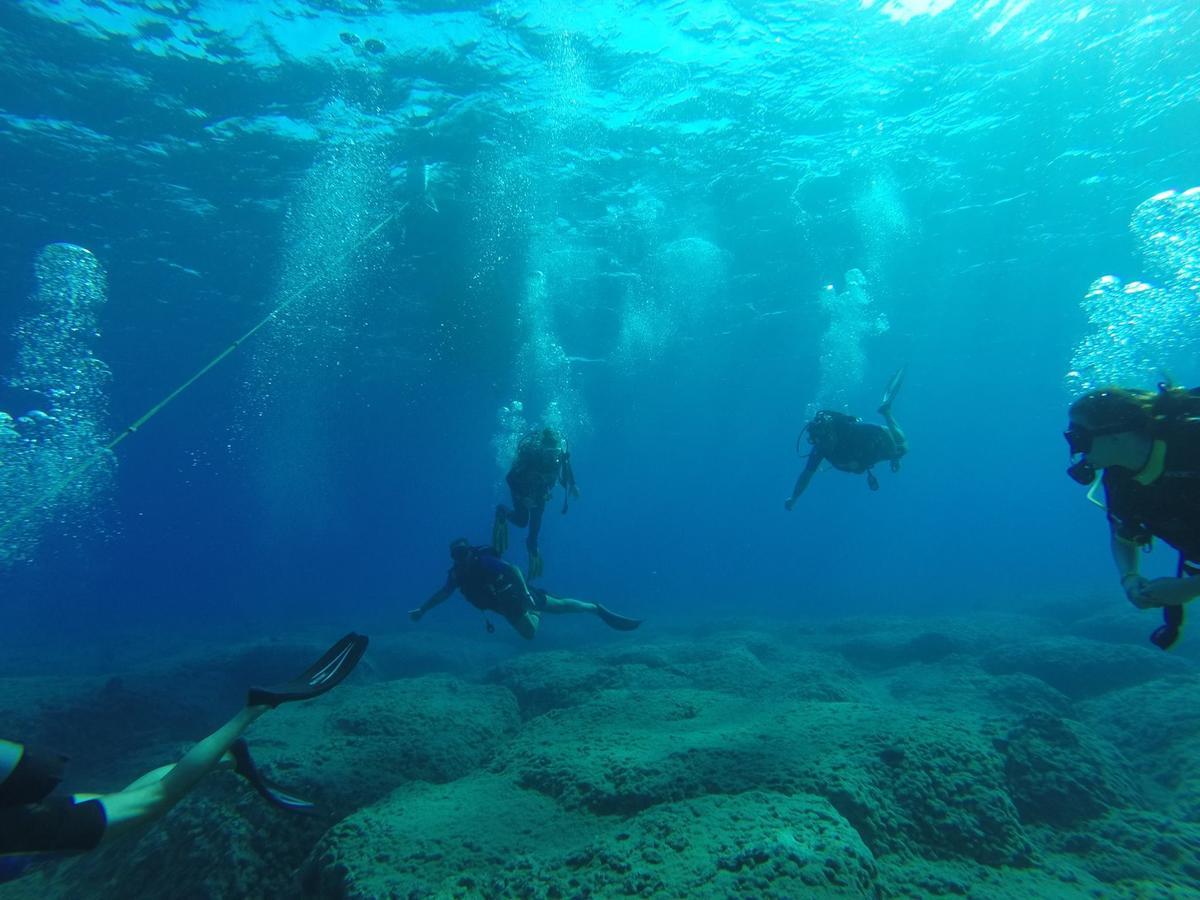 Ostria & Ierapetra (Crete)