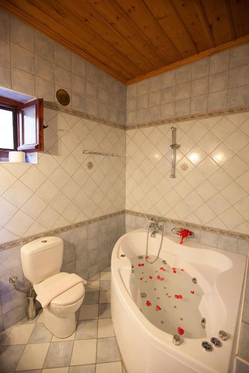 Hotel Machalas 3*