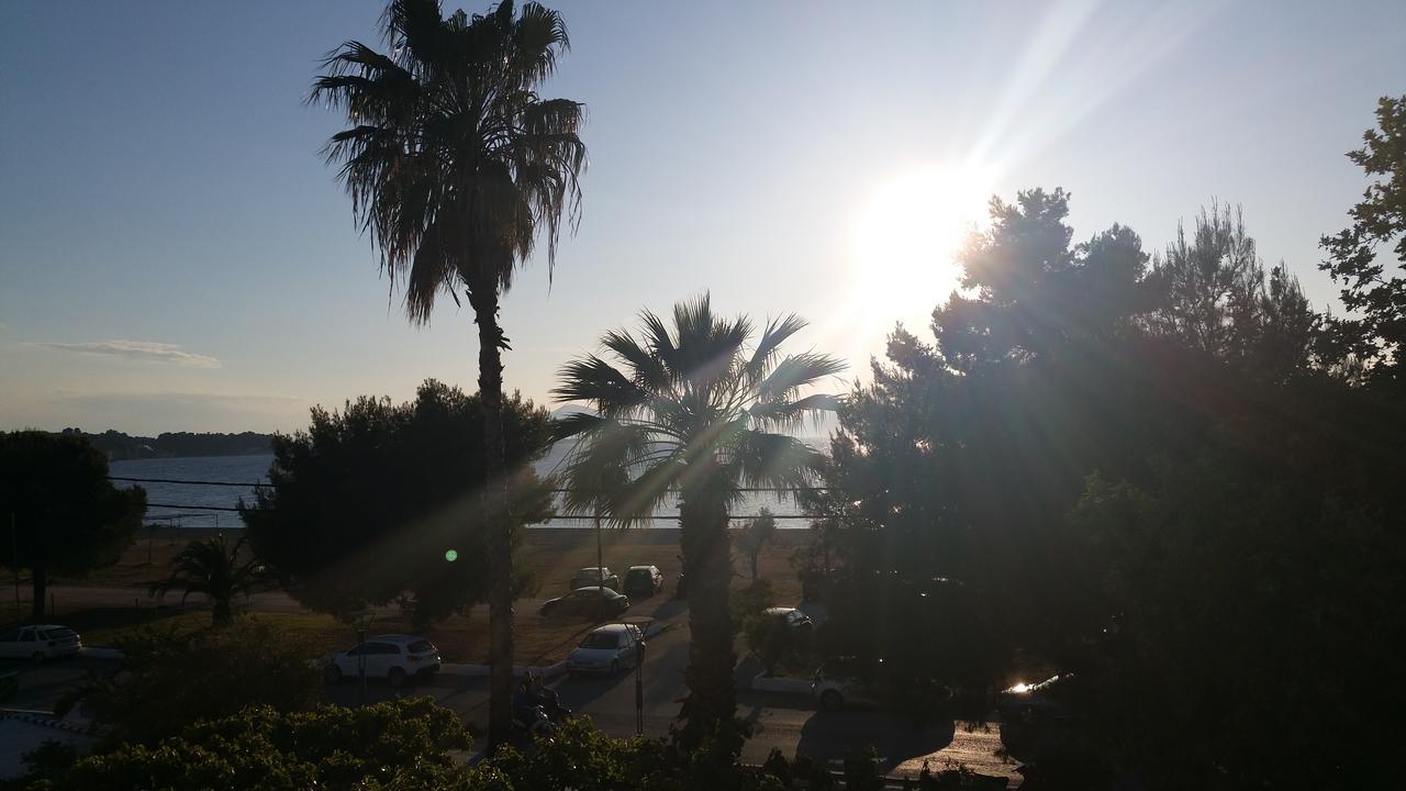 Mirtia