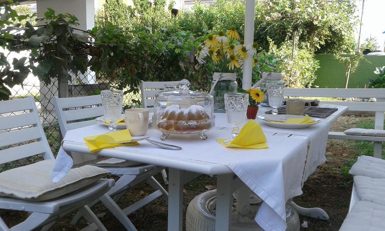 Aparthotel Dionisos Elia