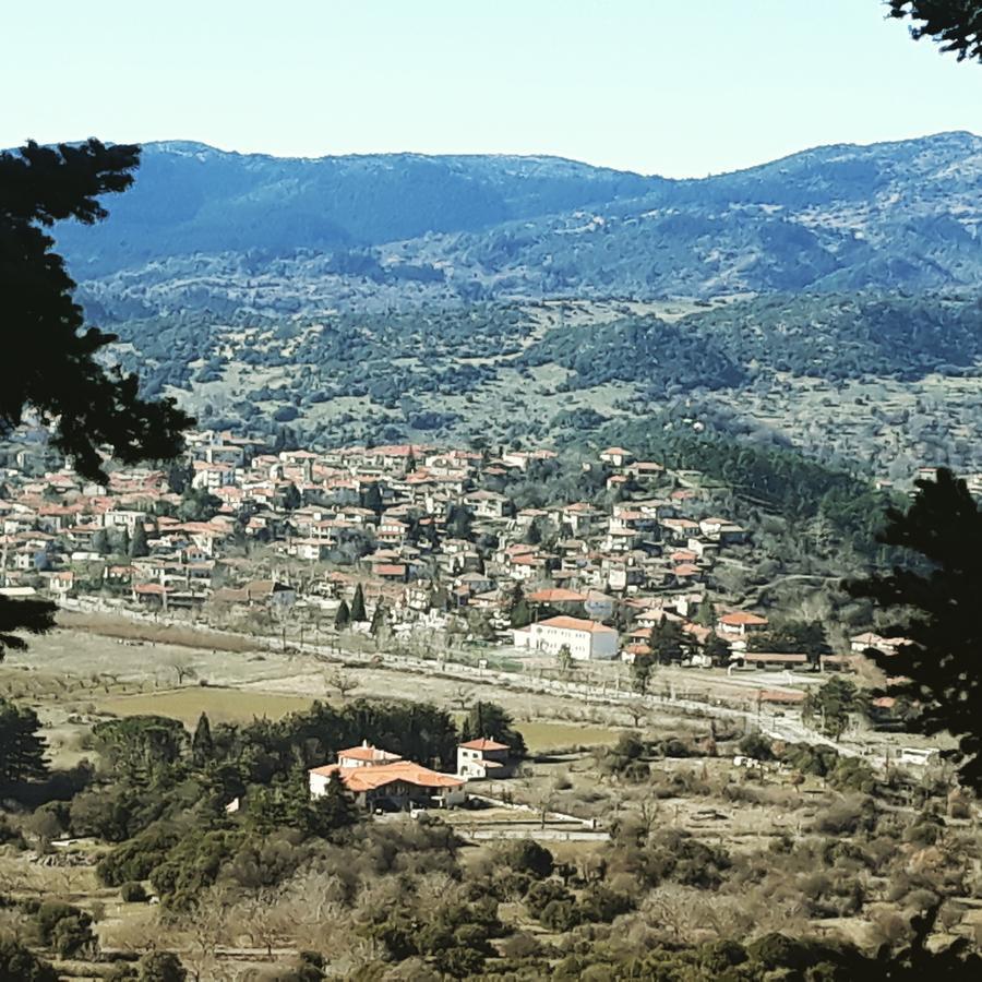 Guest house Archontiko Nikolopoulou Vytina
