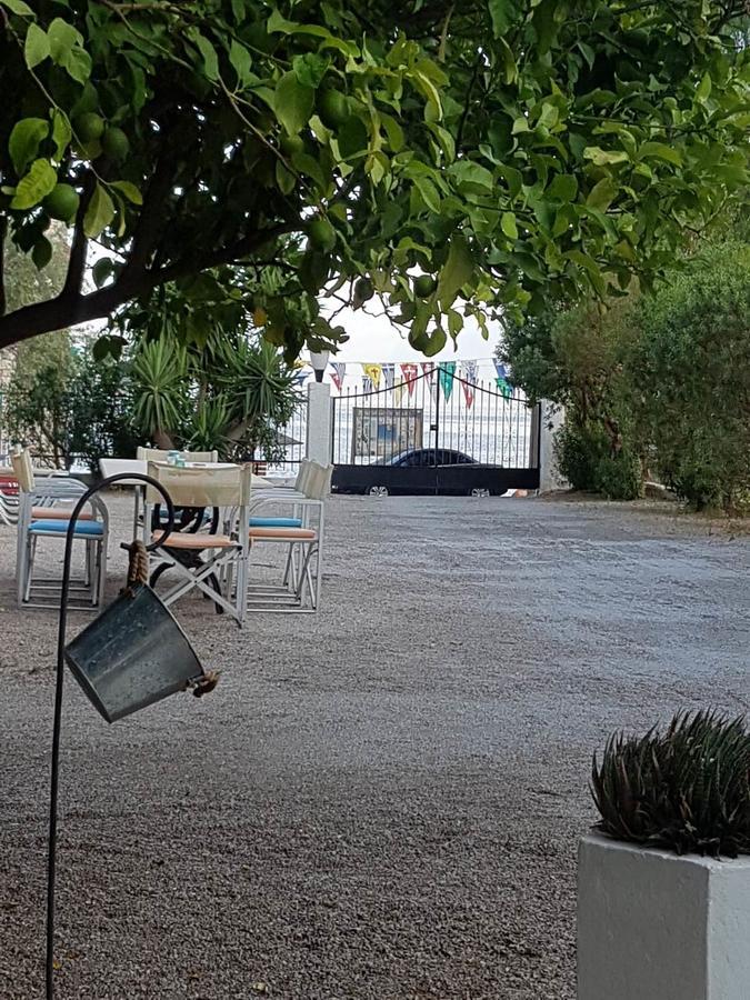 Oasis Ag Pantes