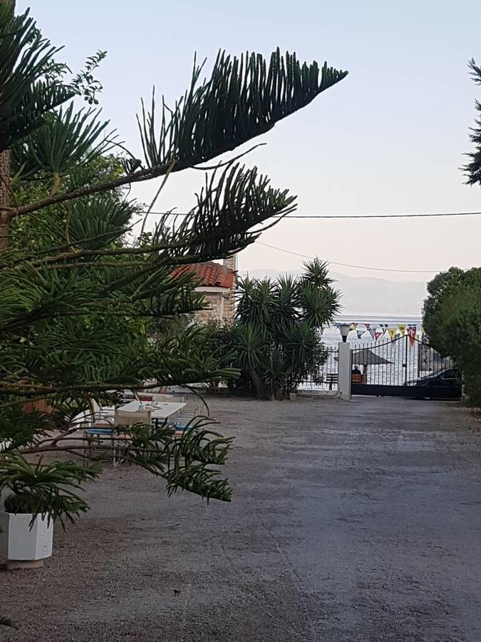 Oasis Ag Pantes * Agioi Pandes