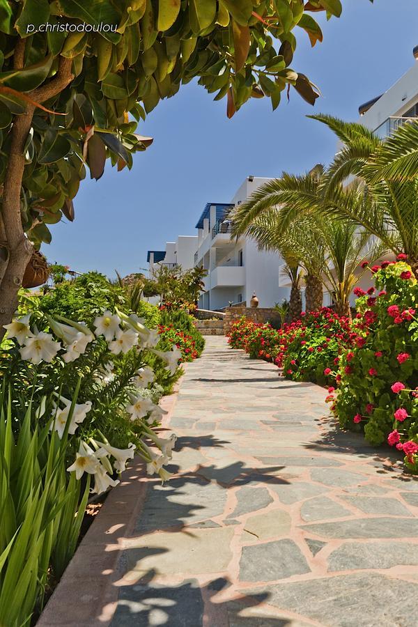 Chc Sound Of The Sea Karpathos Town (Pigadia)