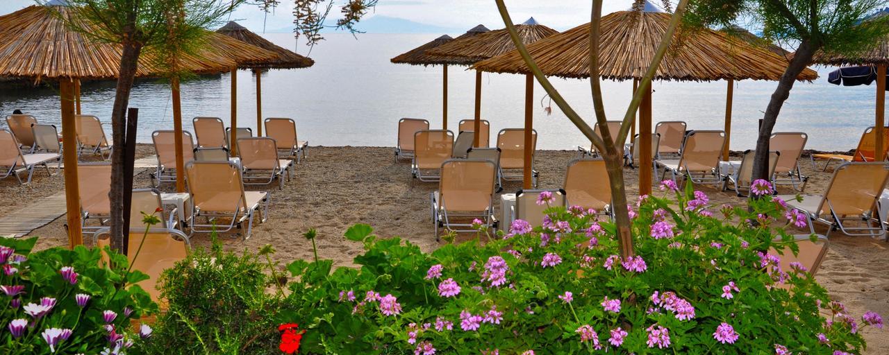 Apartment Tarsanas Luxury Paliouri