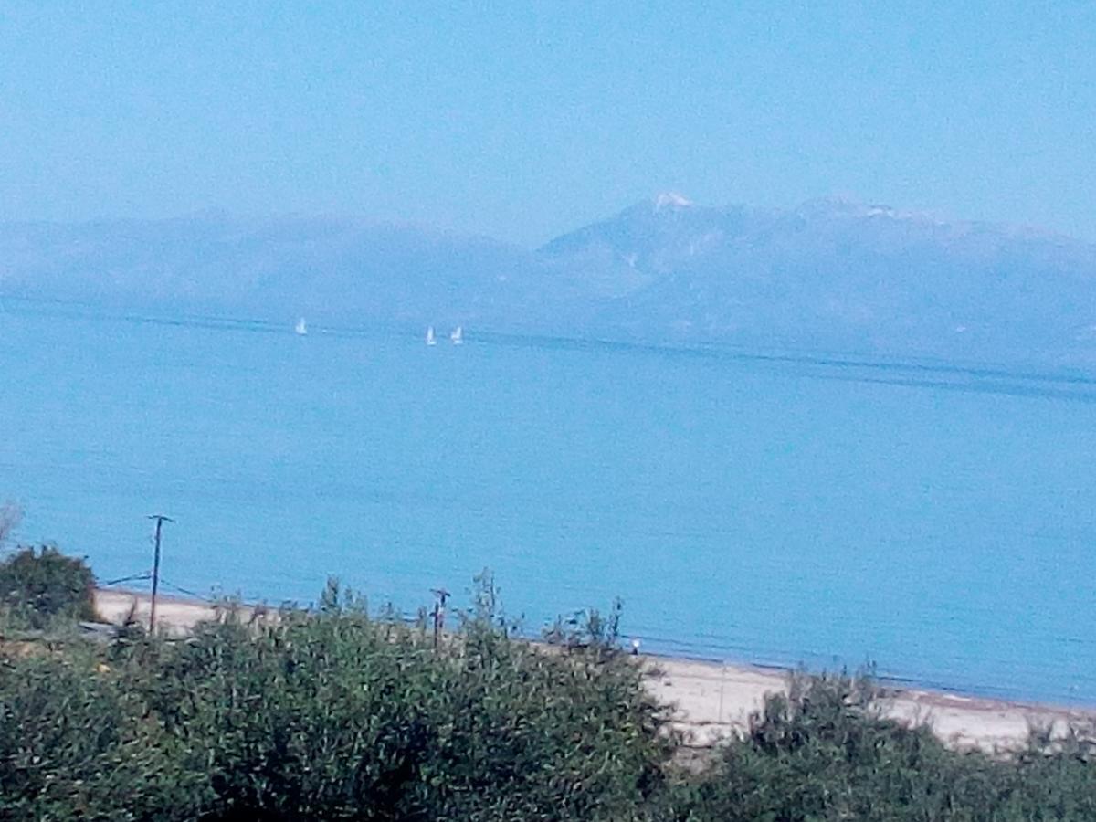 Maria's Paradise * Astrakeri
