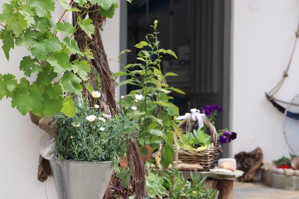 Athina Guest house *