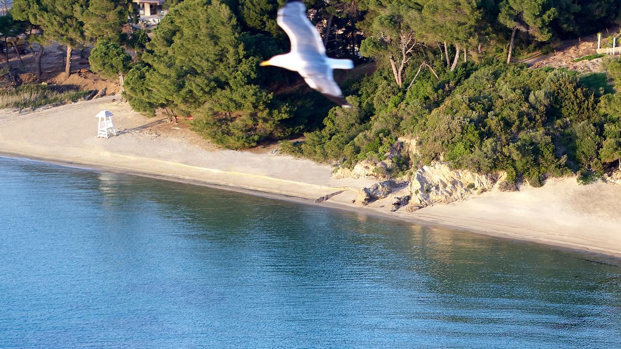 Elivi Skiathos 5*