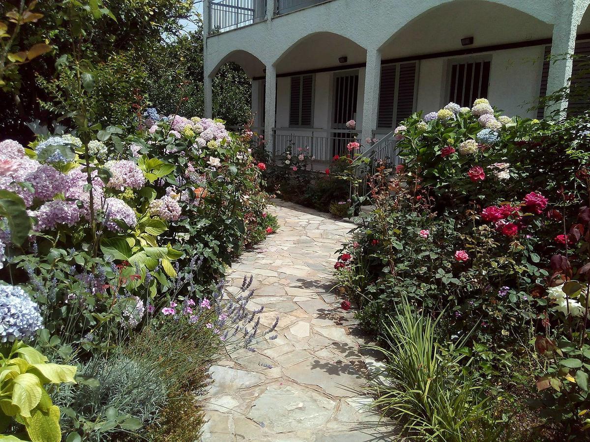 Margarita Aparthotel Preveza