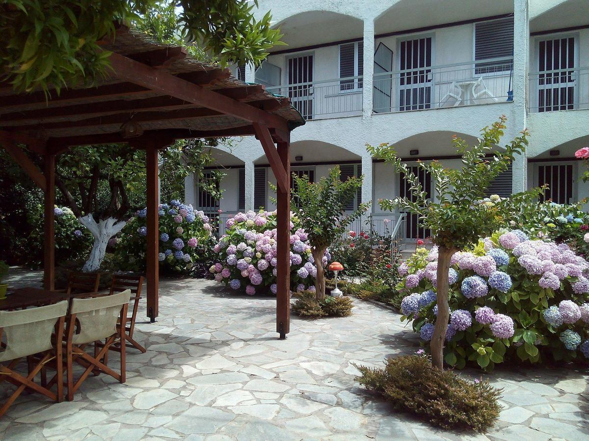 Margarita * Preveza