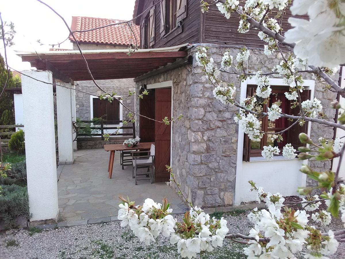 Houses Holiday home Arachova
