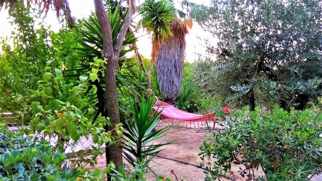 Maria'S Studios & Apartments * Kefalonia Island
