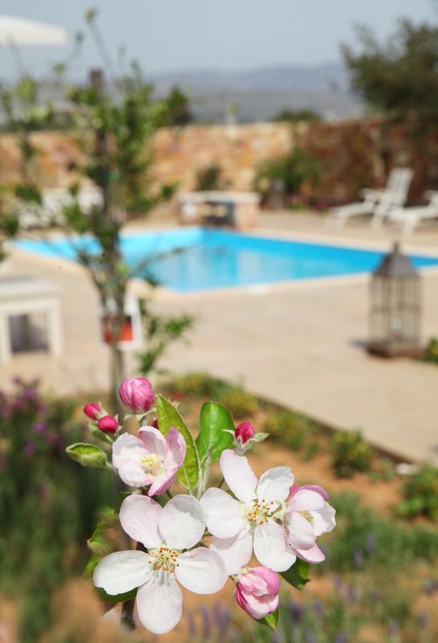 Venetis Luxury Apartments Apartment *
