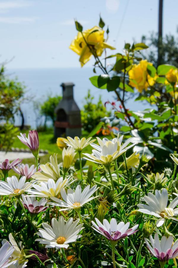 Guesthouse Enastron * Chorefton
