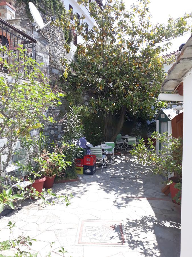 Mansion Theodora Guest house Makrinitsa