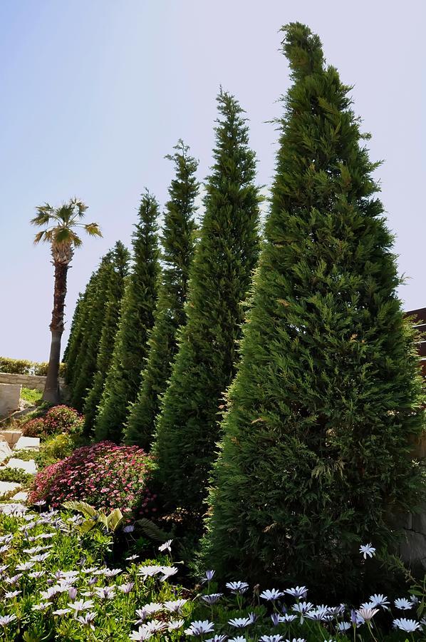 Ocean Complex Villa Agia Pelagia (Crete)