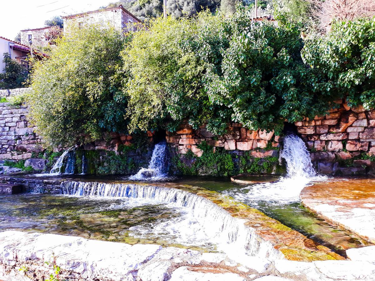 Guest house Messana