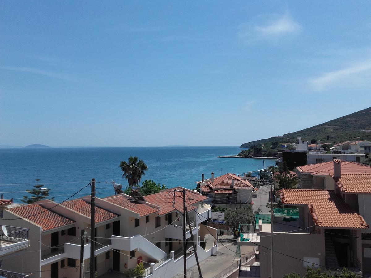 Zavitsa *