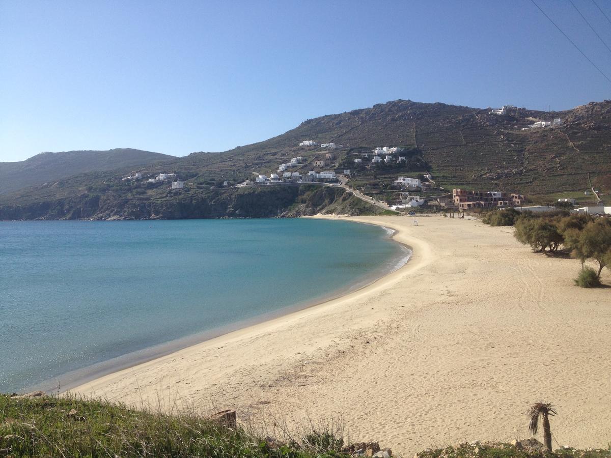Aparthotel Andromeda Mykonos & Kalo Livadi