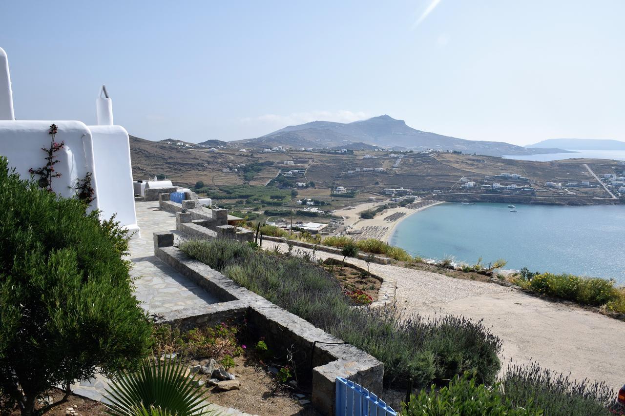 Aparthotel Andromeda Mykonos & Kalo Livadi