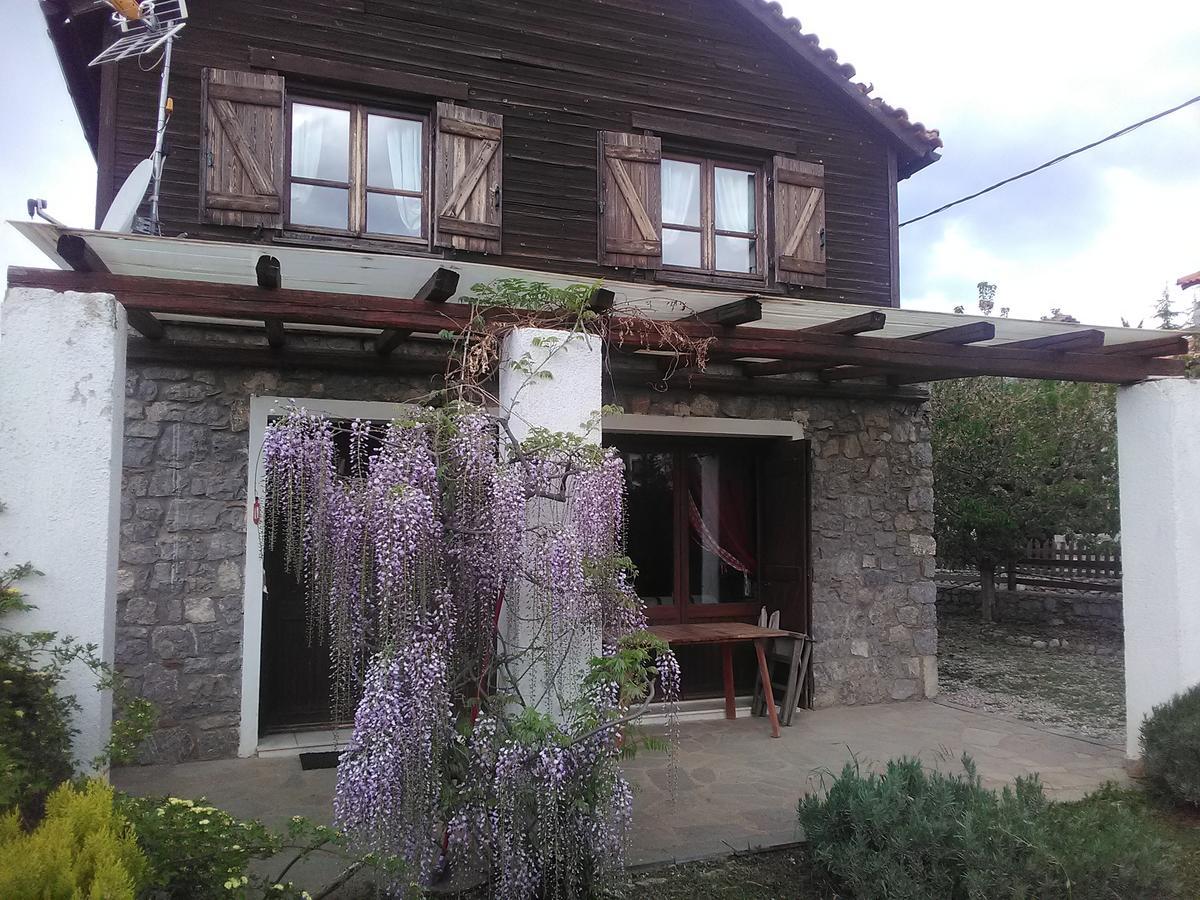 Holiday home Houses