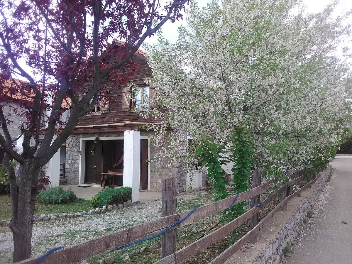 Houses *