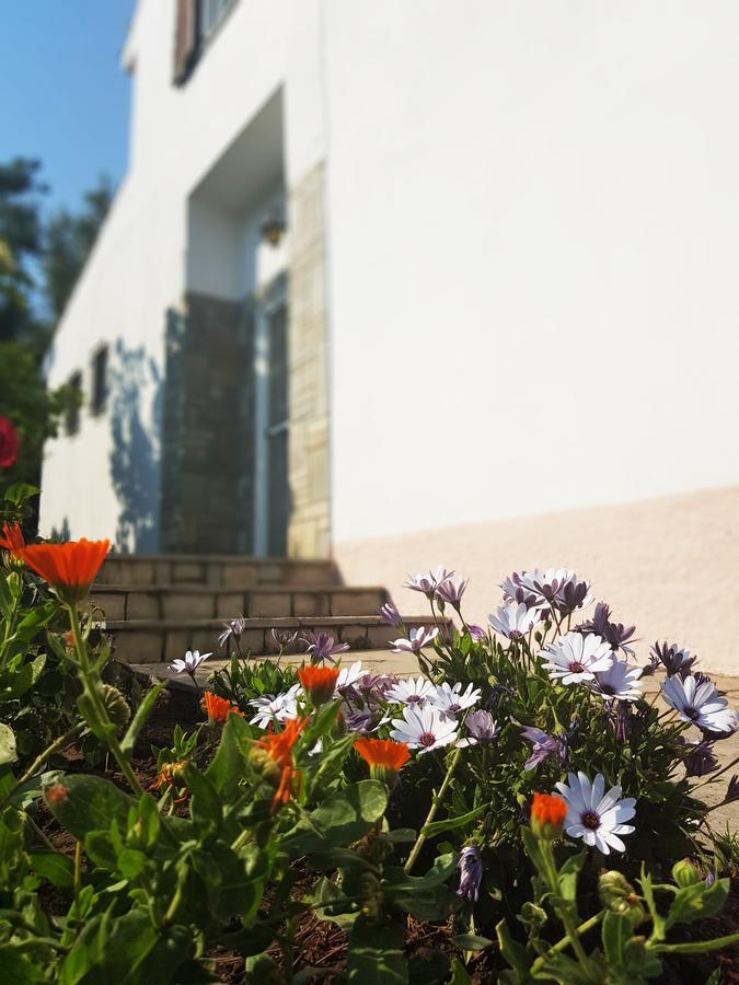 Eleonas Villa