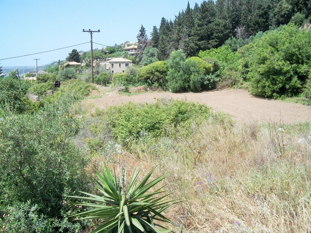 Apartment Diona Lourdata (Kefalonia)