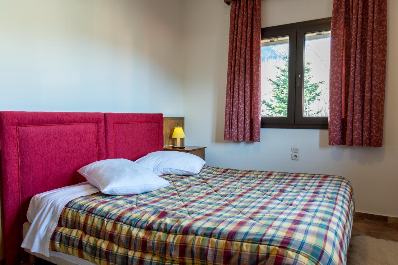 Mountain House 2* Karpenisi