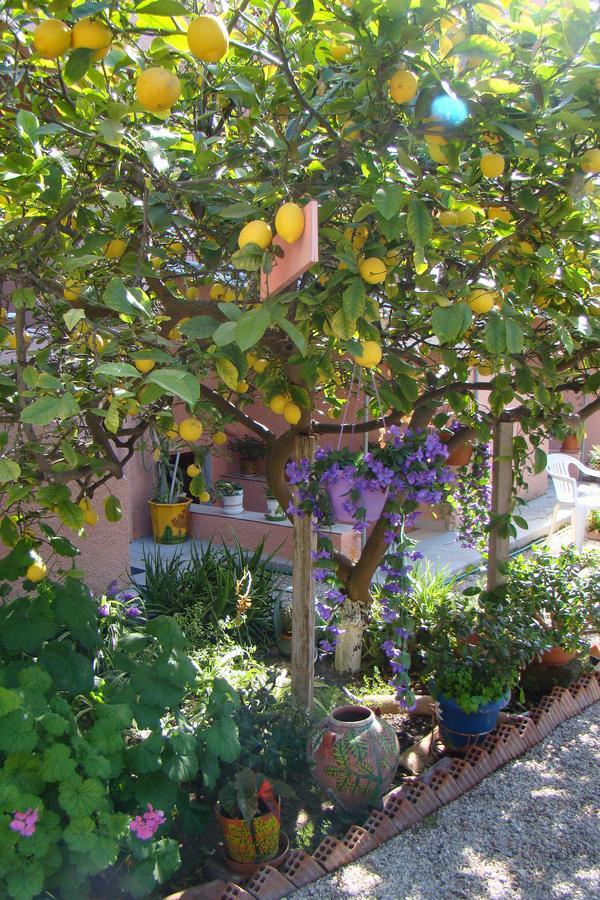 Apartment Kalokenti Aegina
