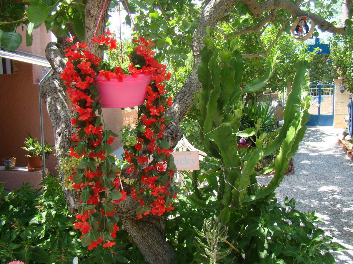 Kalokenti * Aegina