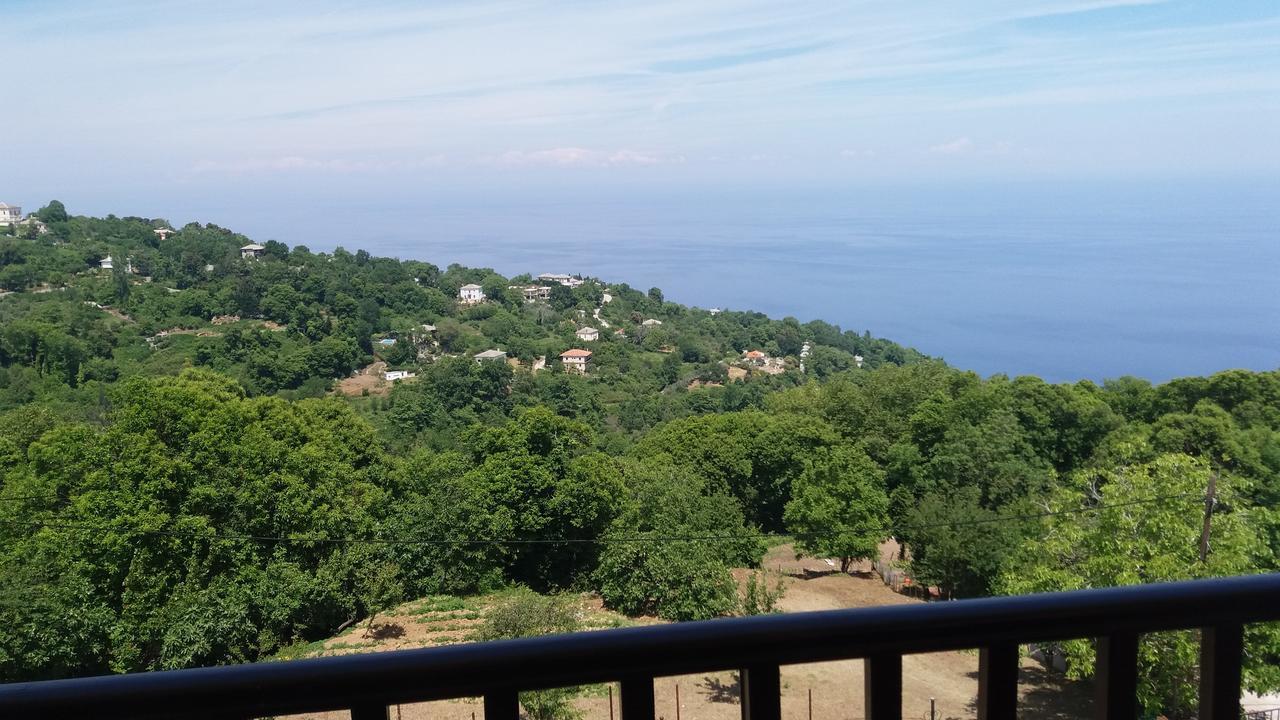 Hotel Diogenis