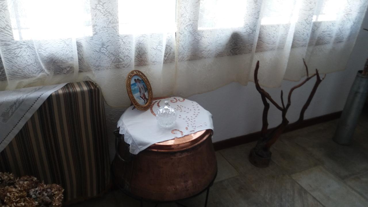 Hotel Diogenis